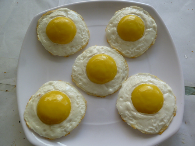 营养食品模型：极品荷包蛋模型