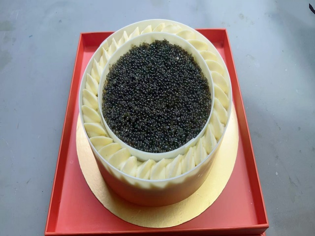 大马哈黑鱼籽酱蛋糕模型