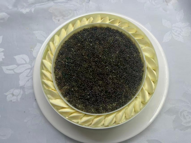 5寸鱼子酱蛋糕模型