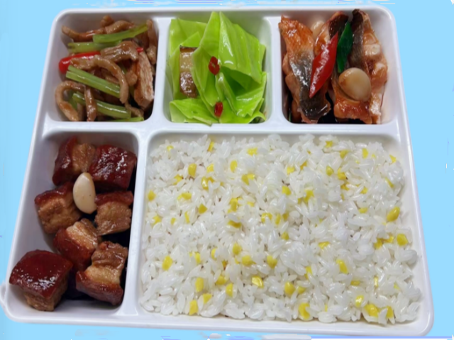 红烧肉杂粮饭快餐便当样品菜模型